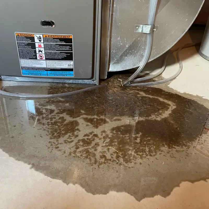 Appliance Leak Cleanup in Smith County, KS